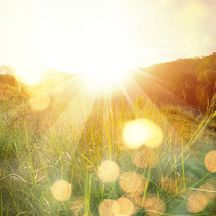 Natur